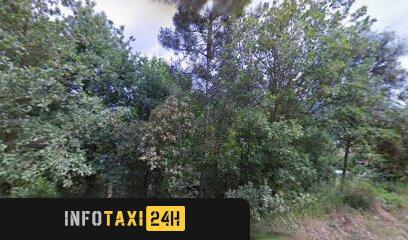 taxista Anri Jurado R