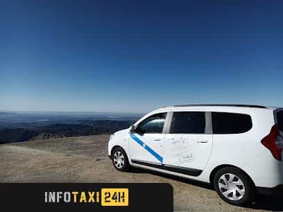 taxista Auto Taxi Barba Guadalupe