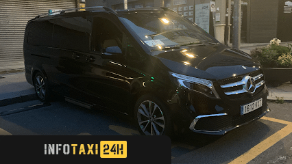taxista Auto Taxis Alonso