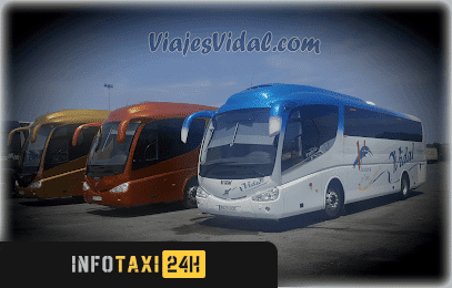 taxista Autobuses Y Taxis Viajesvidal