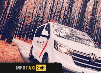 taxista Descubre La Palma En Taxi