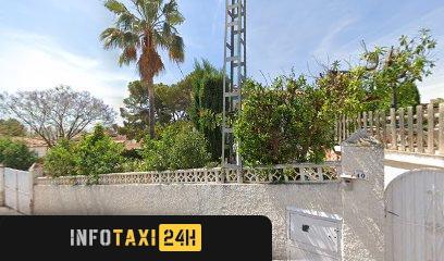 taxista Disabled Transfer