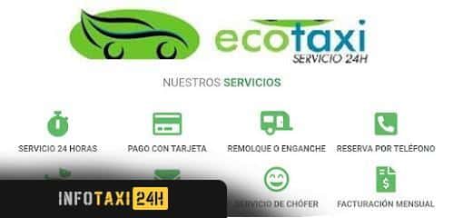 taxista Ecotaxi Castellon