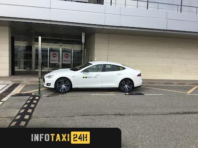 taxista Ecotaxi