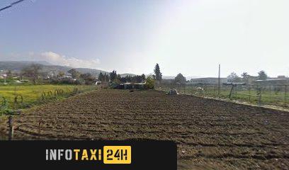 taxista Francisco Corpas Lozano