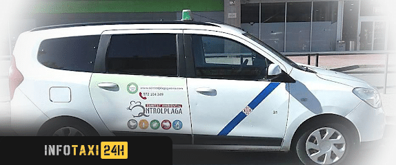 taxista Gi Taxi