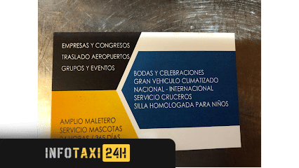 taxista Ikerelegance Servicio De Taxi Y Alquiler De Furgoneta 9 Plazas Sin Conductor
