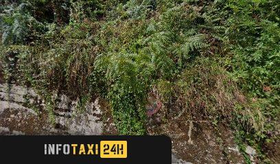 taxista José Javier Garciandía Beloqui