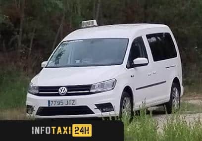 taxista Julio Taxi Caldes
