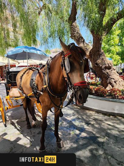 taxista Mijas Burro Taxi