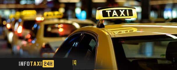 taxista Nerjataxi
