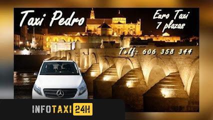 taxista Pedro Galdeano Taxi