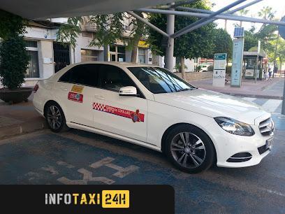 taxista Radio Taxi Fran Las Torres De Cotillas