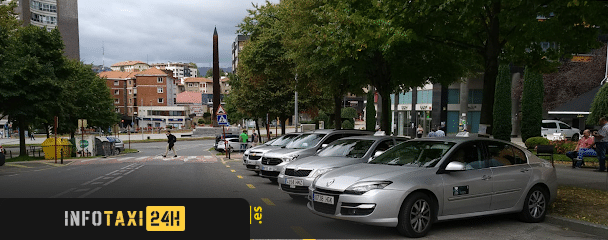 taxista Radio Taxi Leioa