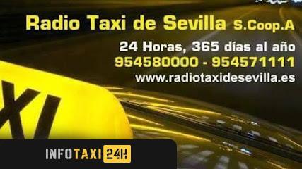 taxista Radio Taxi Sevilla