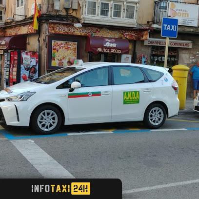 taxista Radio Taxi Torrelavega