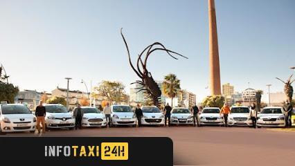 taxista Radio Taxi Vinaròs
