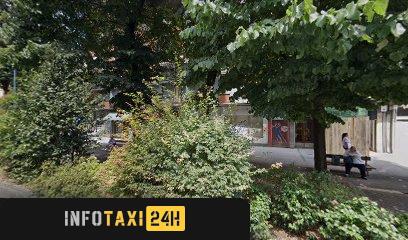 taxista Radio Taxi Viteri