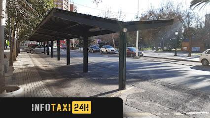 taxista Radio Taxi