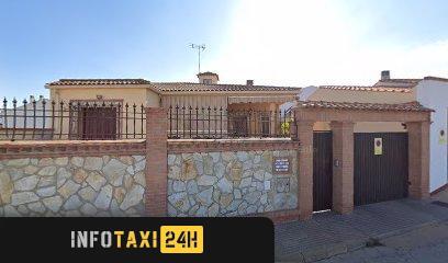 taxista Ribex Taxi