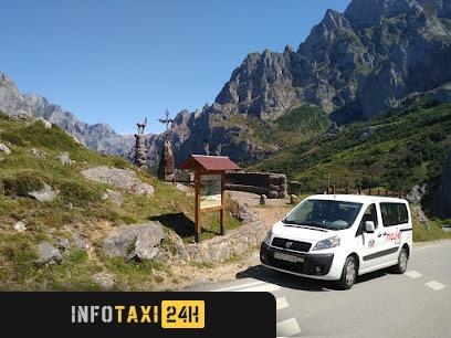 taxista Servi Taxi Nava Sociedad Cooperativa