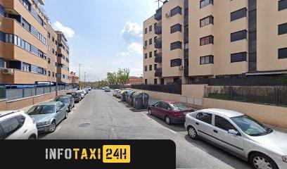 taxista Servicio De Taxi Zona Sur