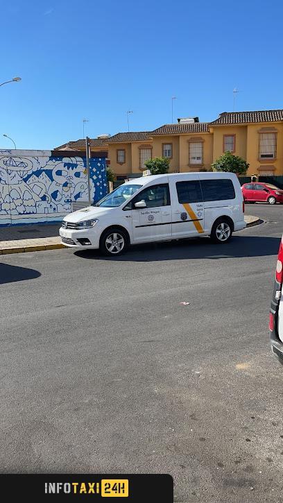 taxista Servicio Taxi 7 Plazas Sevilla aeropuerto