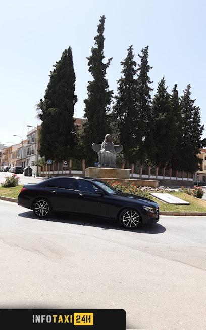 taxista Servicios Vtc Y Taxi S l
