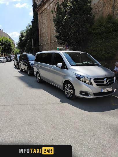 taxista Servitaxi La Garriga
