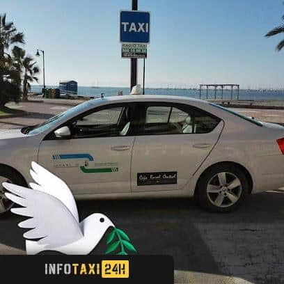 taxista Taxi 12 Pedro San Pedro Del Pinatar