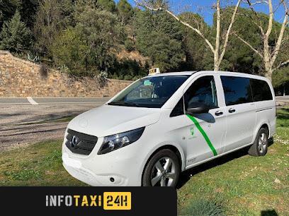 taxista Taxi 28 Elisabet