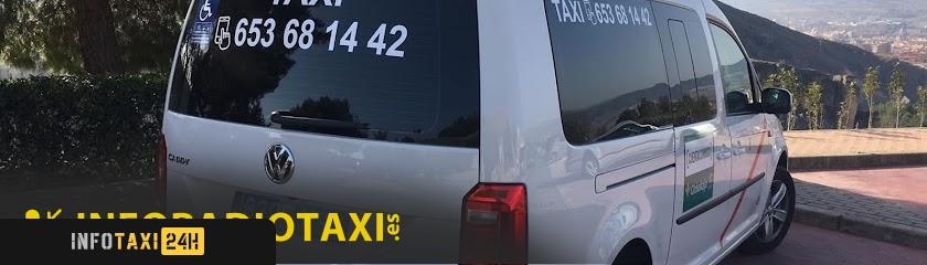 taxista Taxi 29