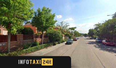 taxista Taxi 7 Plazas Tower
