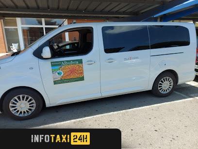 taxista Taxi 7 Plazas Valencia