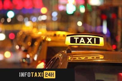 taxista Taxi 7 Plazas