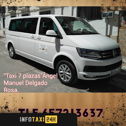 taxista Taxi 8 Plazas Ángel M Delgado