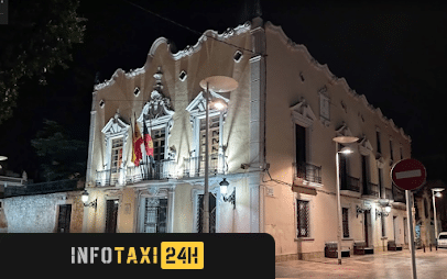taxista Taxi Alginet
