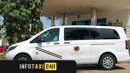 taxista Taxi Alhaurin De La Torre