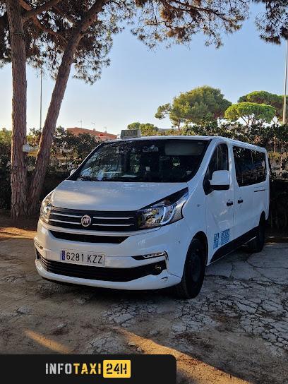 taxista Taxi Alonso