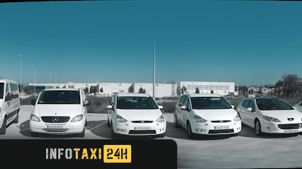taxista Taxi Amposta Central 24h