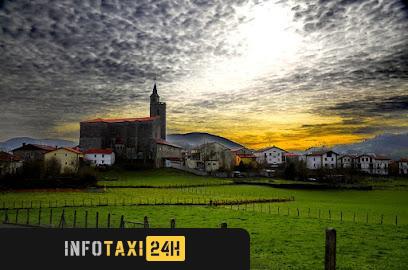 taxista Taxi Andertza