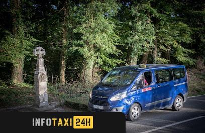 taxista Taxi Asier Burguete roncesvalles