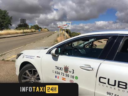 taxista Taxi Astorga N°3 geli Bonet Cards & Bizum Are Accepted