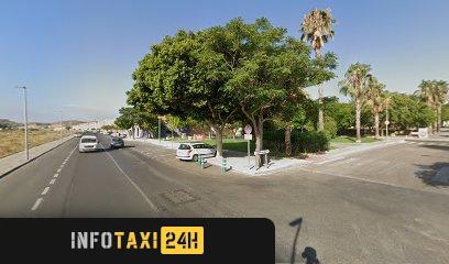 taxista Taxi Bajo Andarax 13