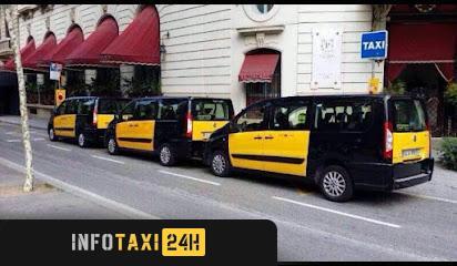 taxista Taxi Barcelona 7 Plazas