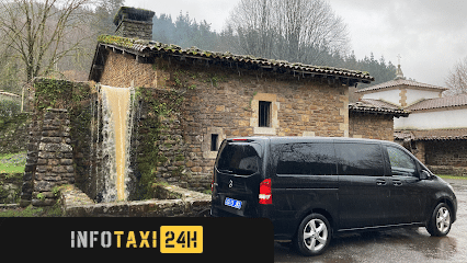 taxista Taxi Baztan