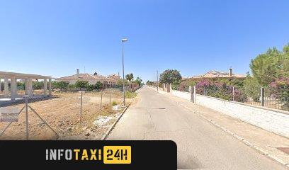 taxista Taxi Belli
