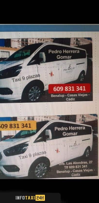 taxista Taxi Benalup Pedro Herrera Gomar