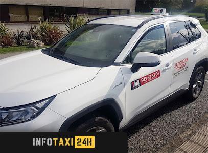 taxista Taxi Bidasoa San Juan