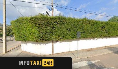 taxista Taxi Bunyola 3